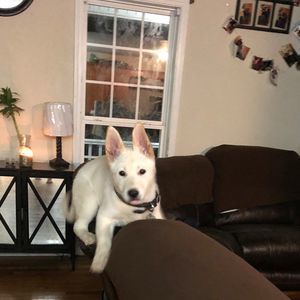 Meet your Posher, Gina